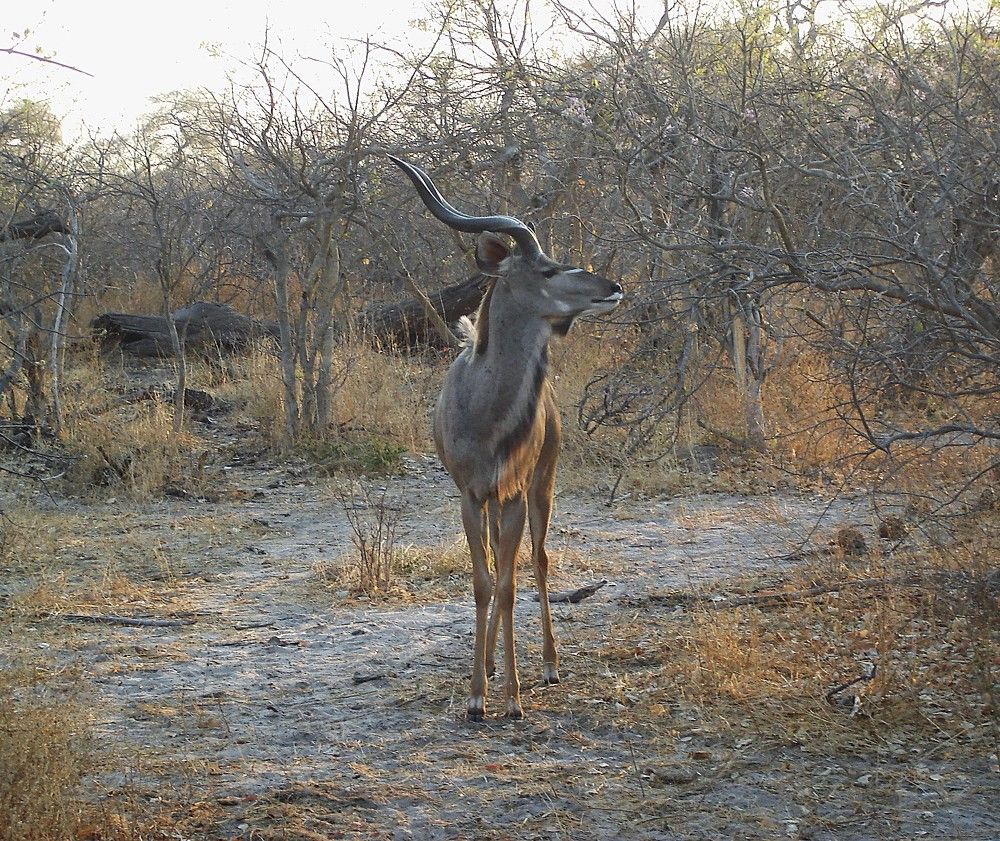 Photograph by Ирина Орлова