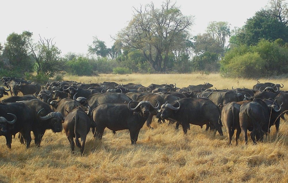 Photograph by Ирина Орлова