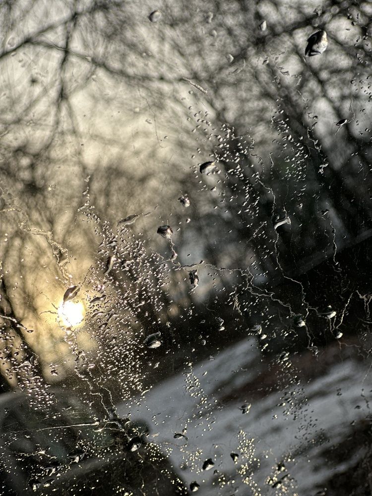 Photograph by Наумова Татьяна