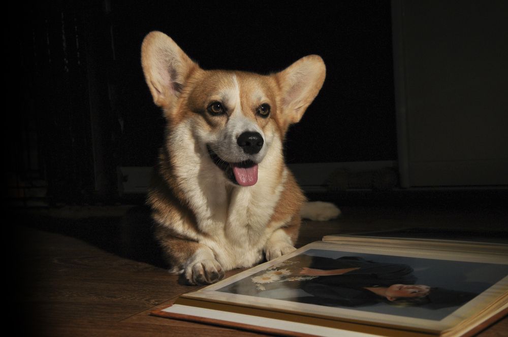 Photograph by Ирина