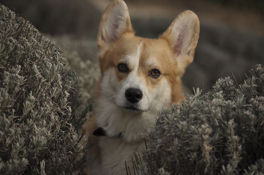 Photograph by Ирина