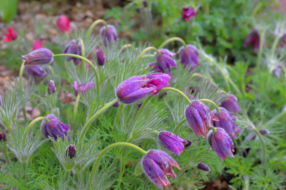 Photograph by DUBINA LEONID