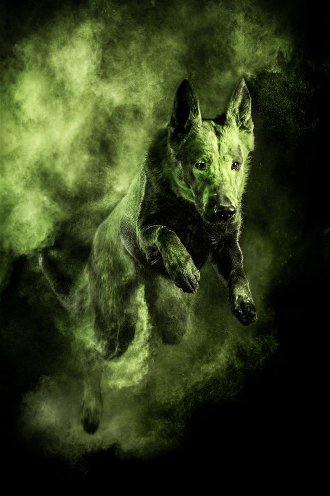 Photograph by Алина Дудорова