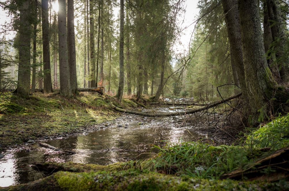 Photograph by Алексей Цецохо