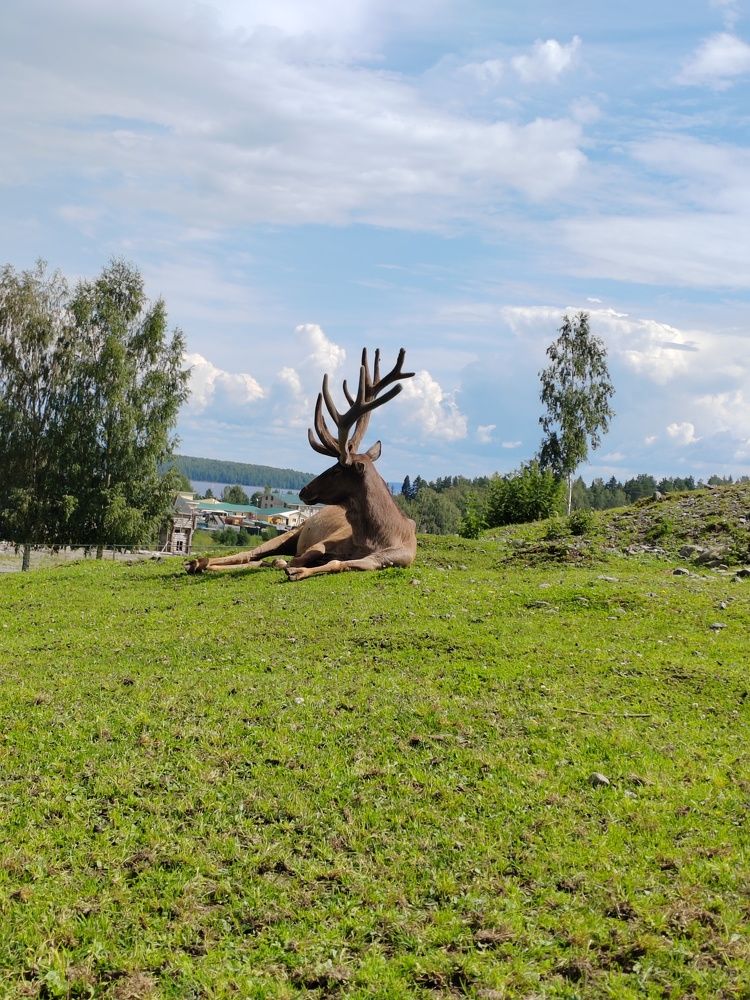 Фотография автора Татьяна Егорова