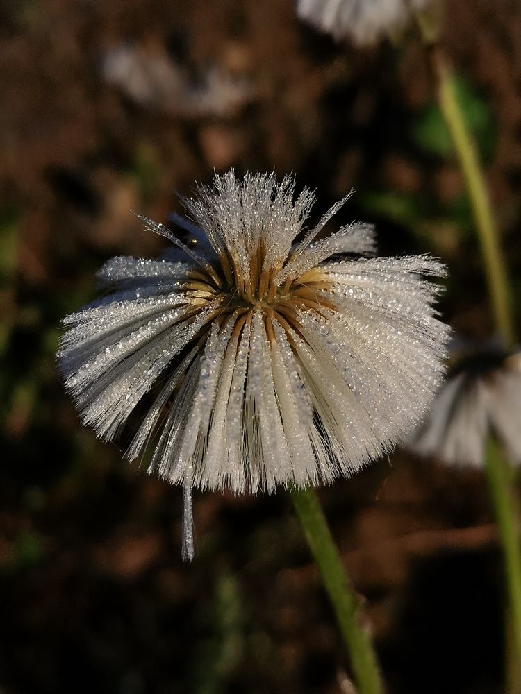Photograph by Ольга Лукина