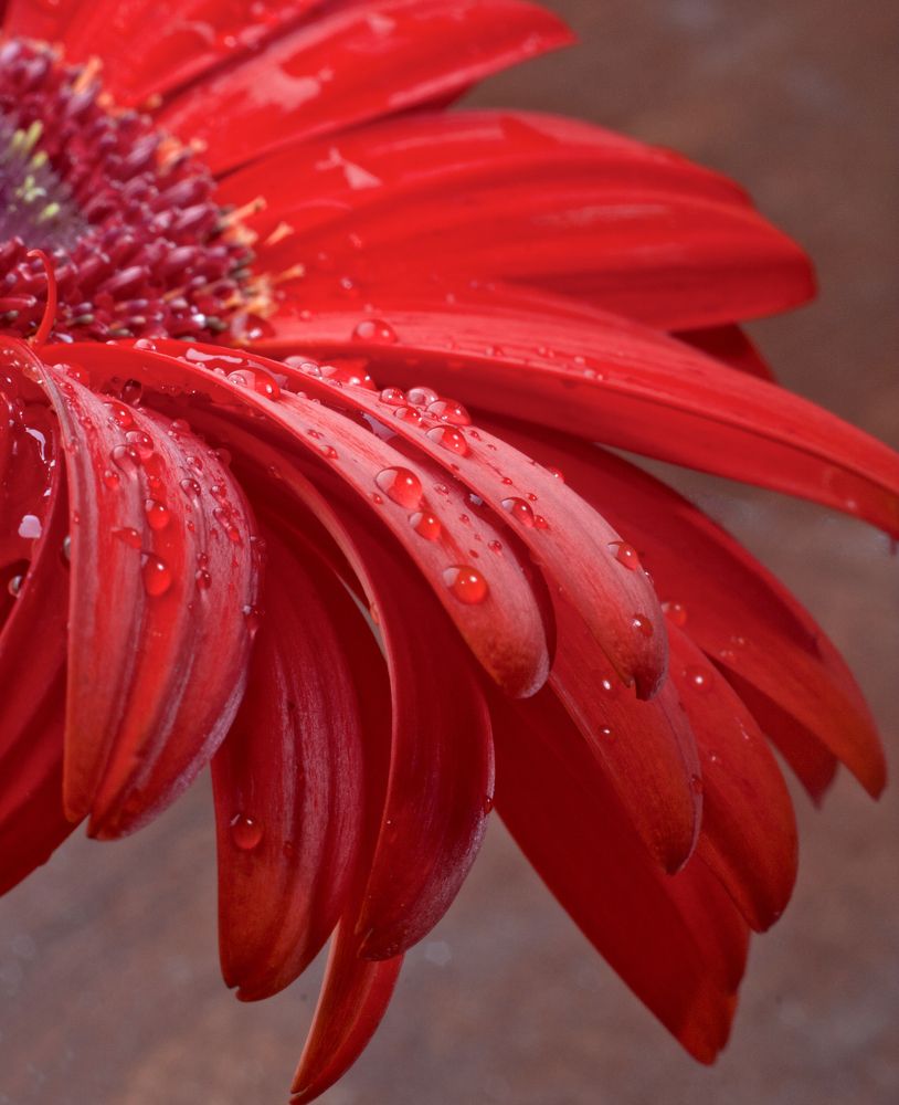 Photograph by Татьяна