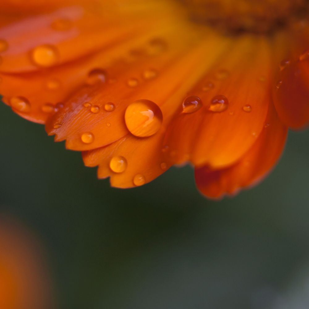 Photograph by Татьяна