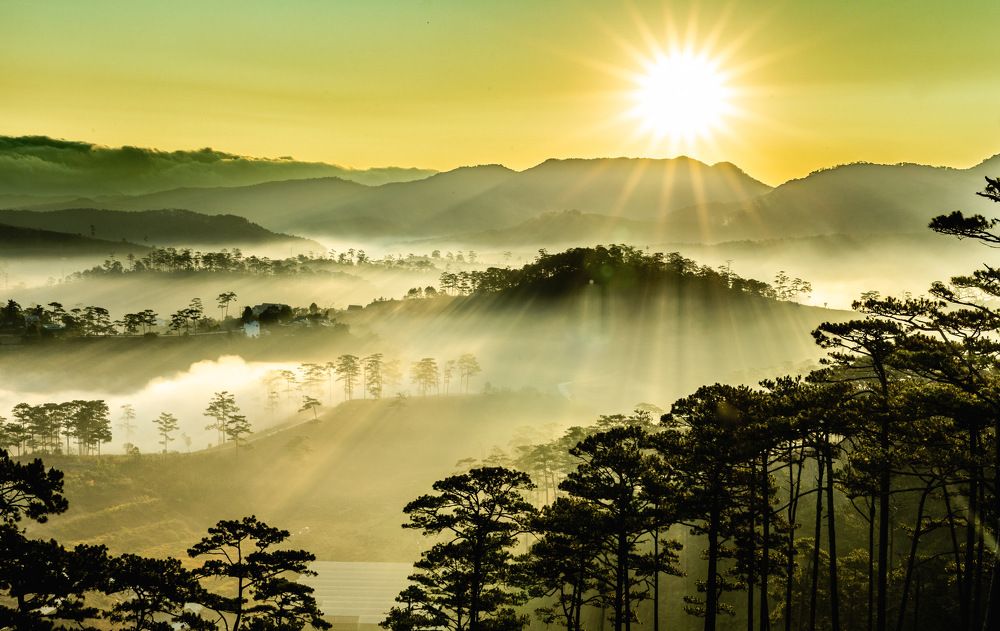 Photograph by Dũng Phùng