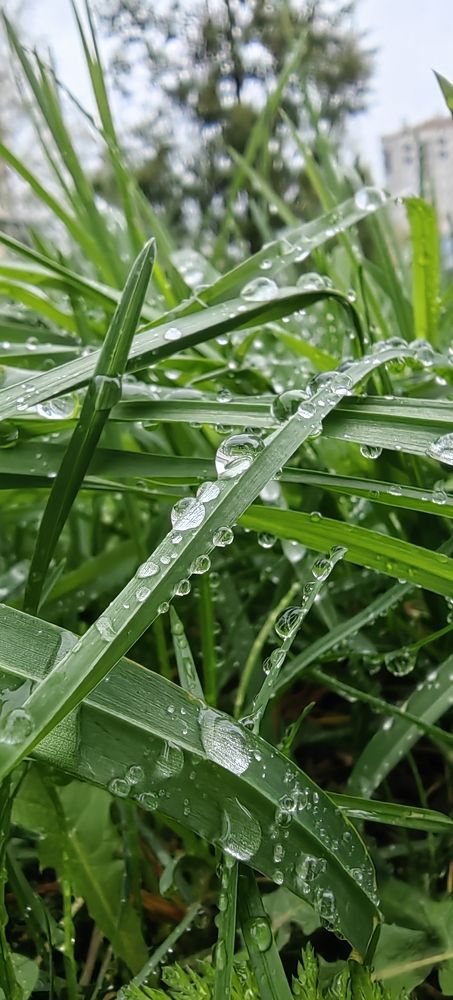 Photograph by Лидия Баженова