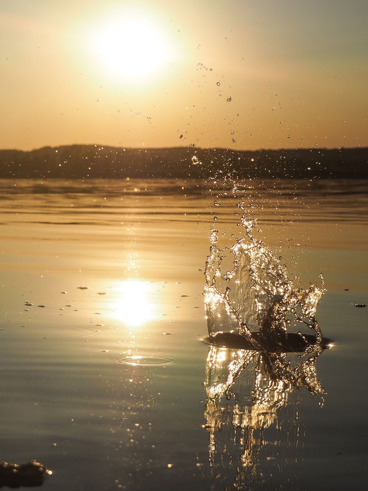 Photograph by Светлана Шибаршина