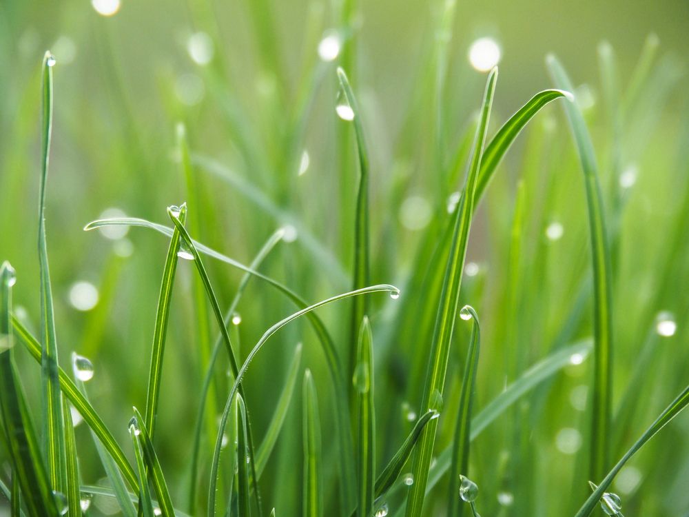 Photograph by Светлана Шибаршина