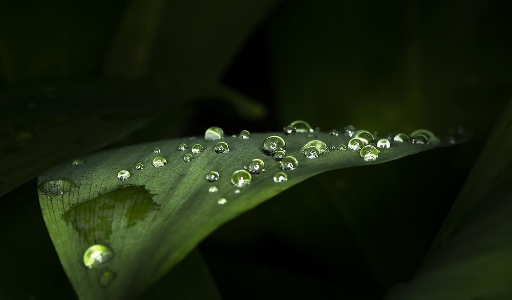 Photograph by Рихард Мисан