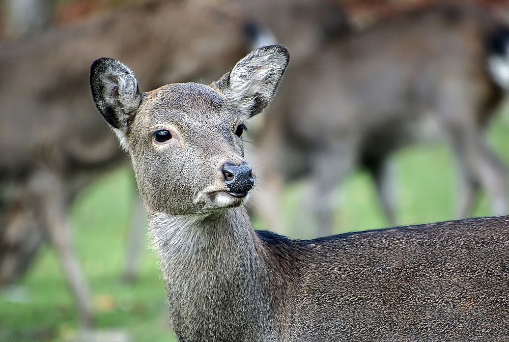 Фотография автора Александр