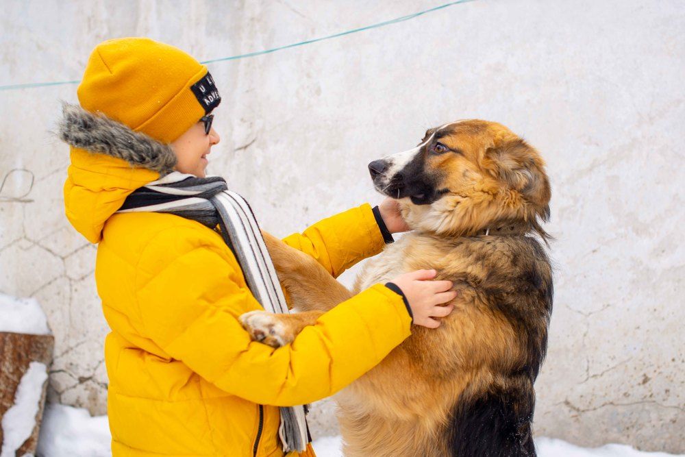 Photograph by Darina