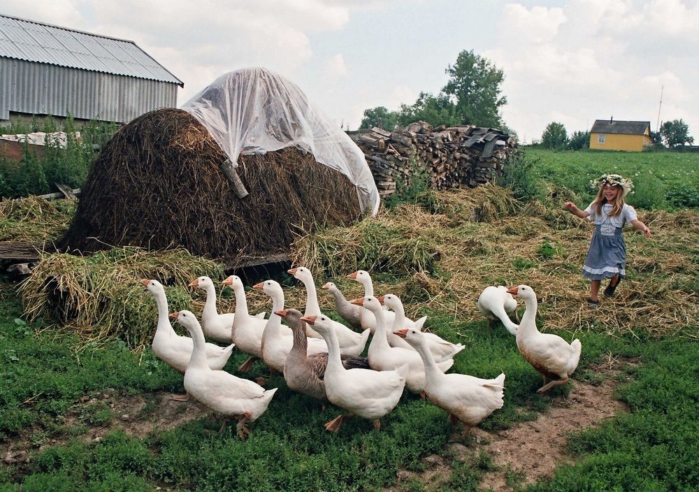 Photograph by Альфия Бикмухаметова