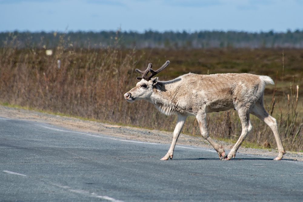 Photograph by Кадырова Марина