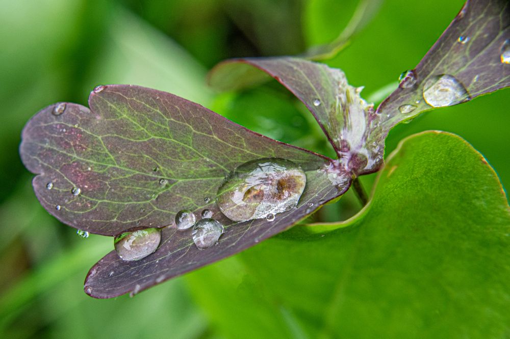 Photograph by Дмитрий Анисимов