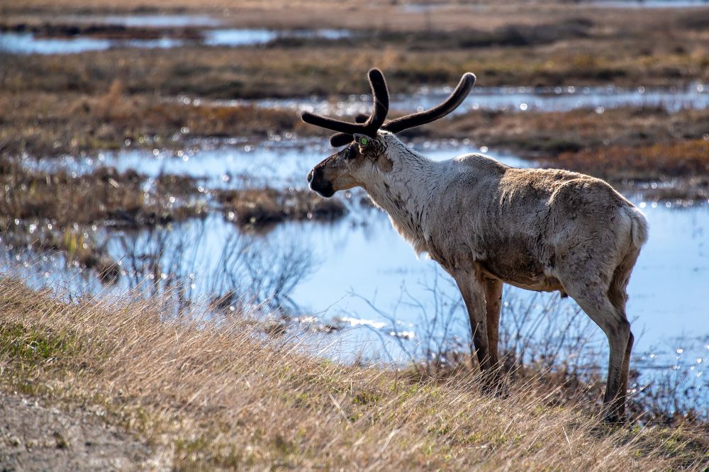 Photograph by Кадырова Марина
