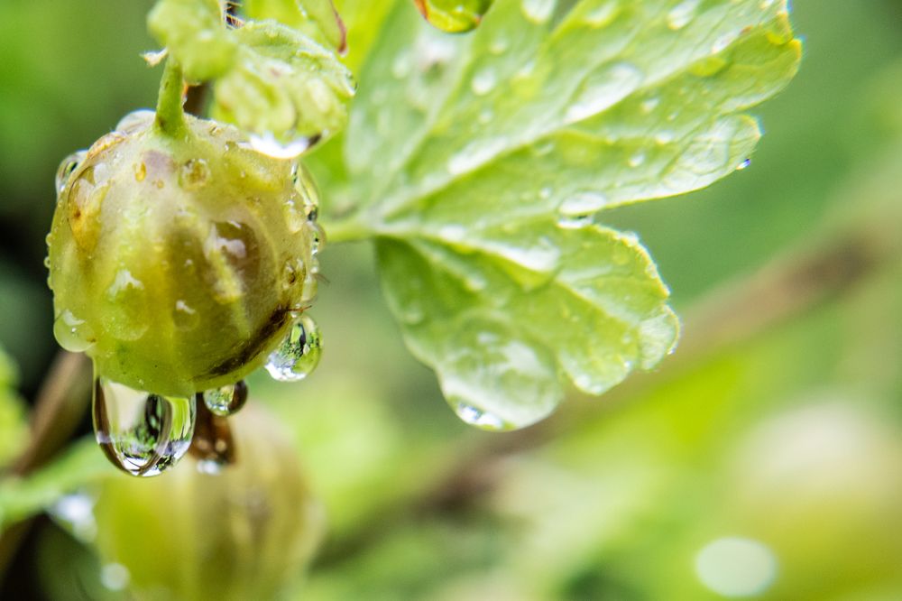 Photograph by Дмитрий Анисимов