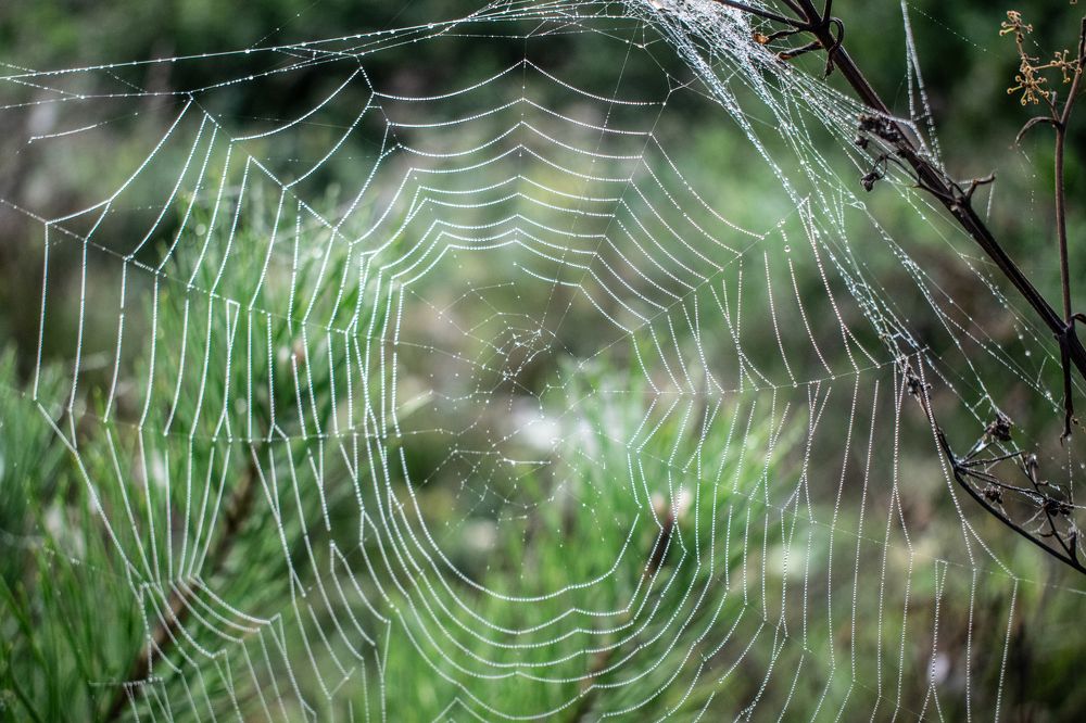 Photograph by Дмитрий Анисимов