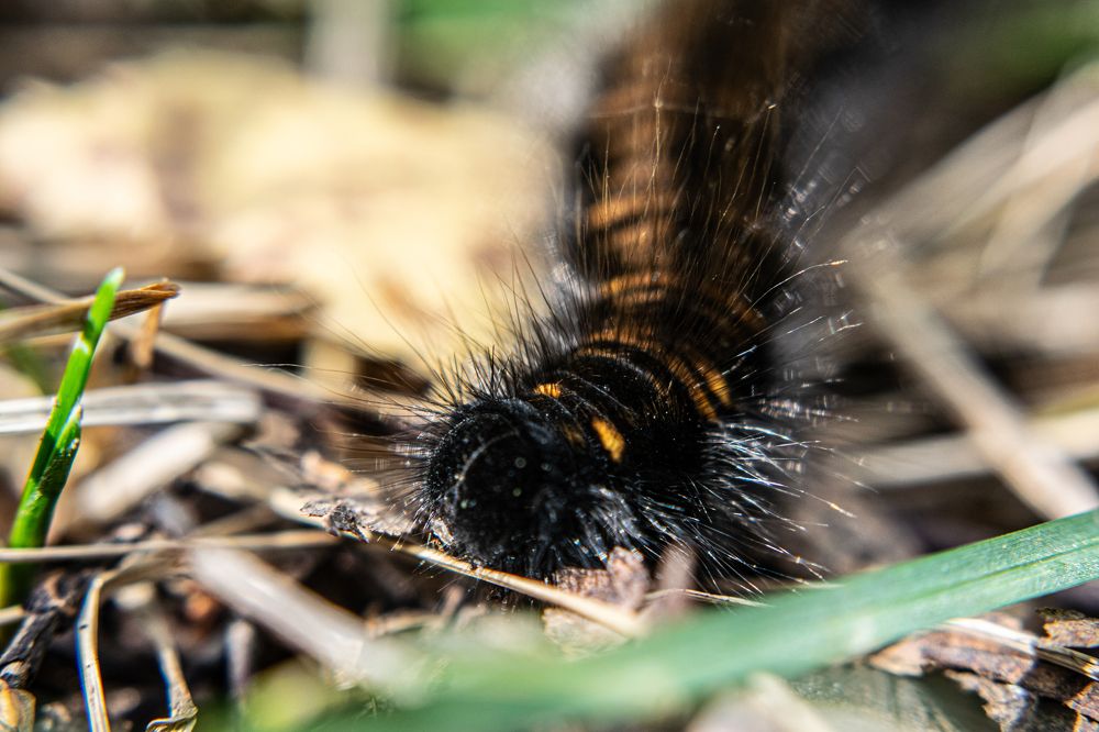 Photograph by Дмитрий Анисимов