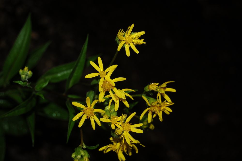 Photograph by Алена Алексеева