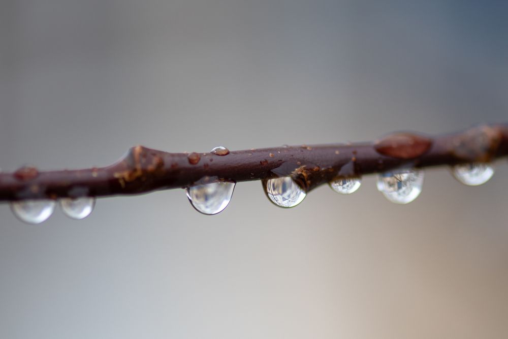 Photograph by Кадырова Марина