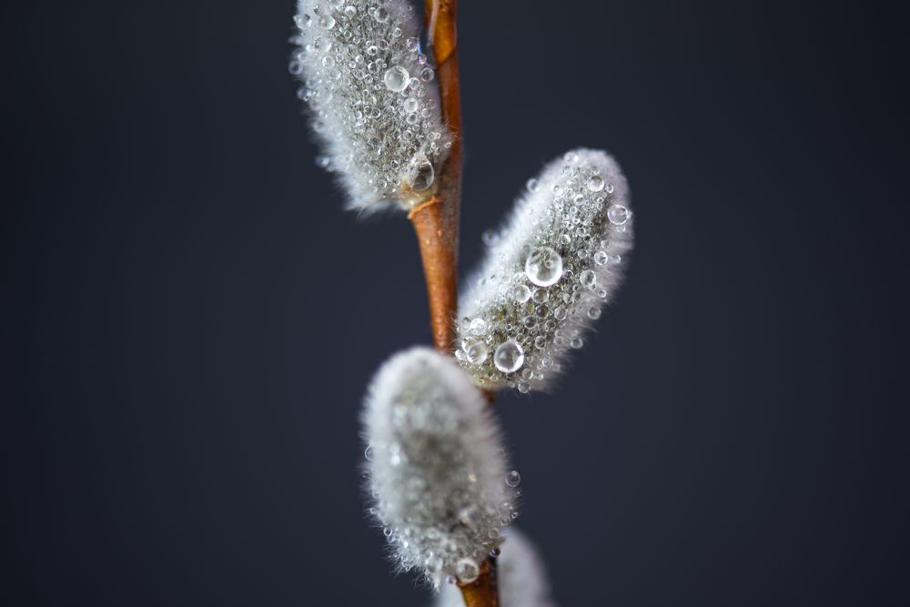 Photograph by Кадырова Марина