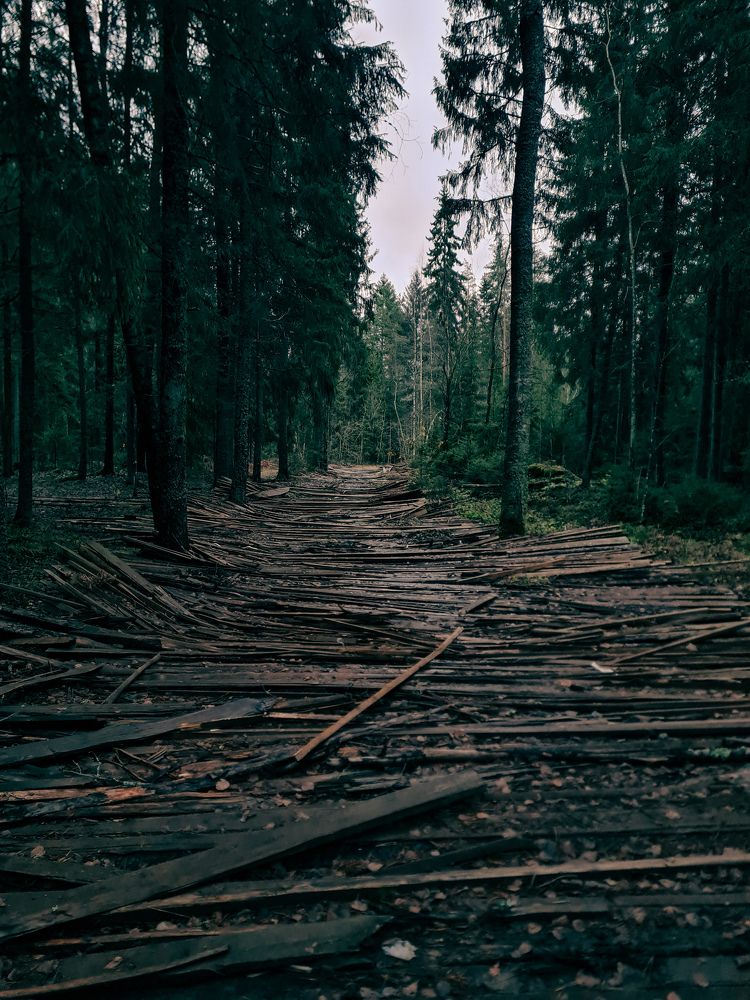 Photograph by Ирина Хлебникова