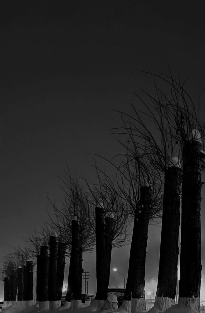 Photograph by Наталья