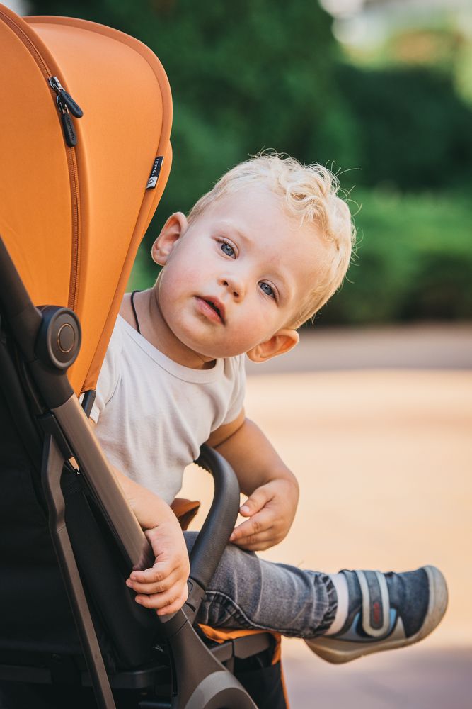Фотография автора Ольга Тенилова