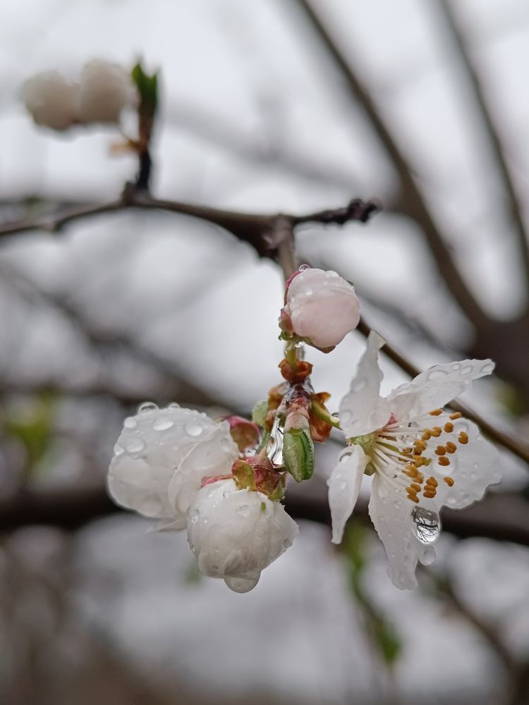 Photograph by Margarita Presidentova