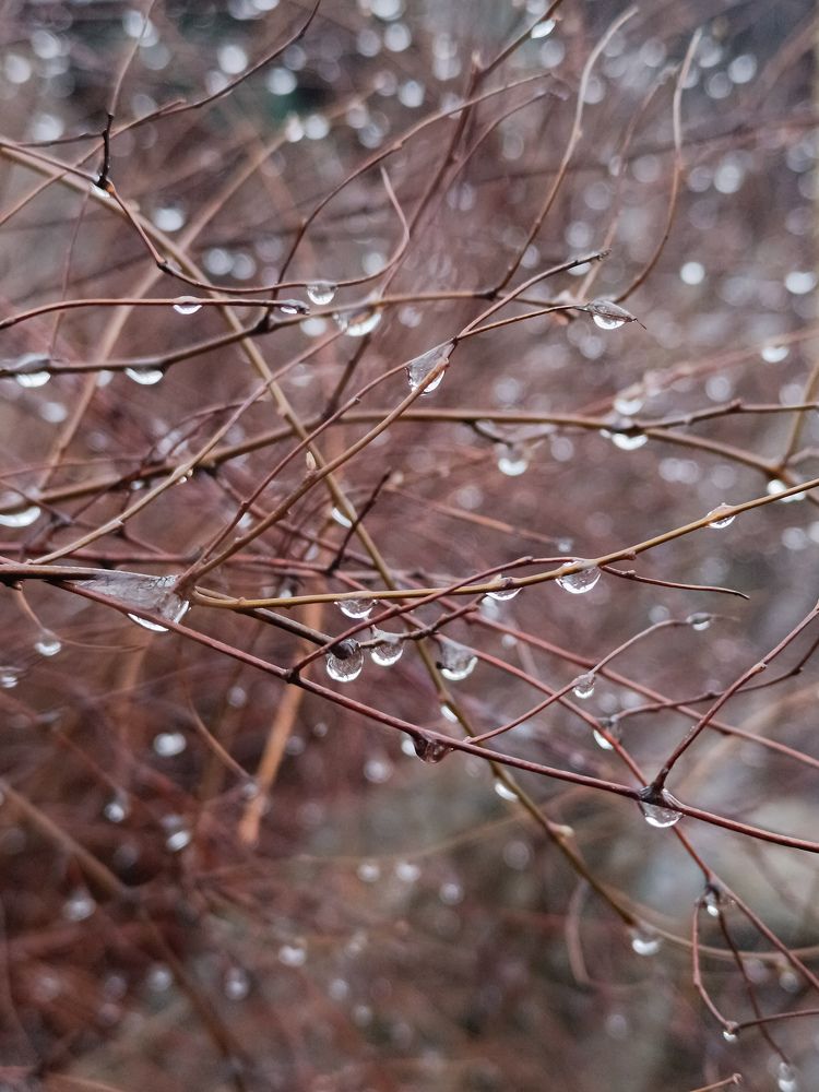 Photograph by Margarita Presidentova