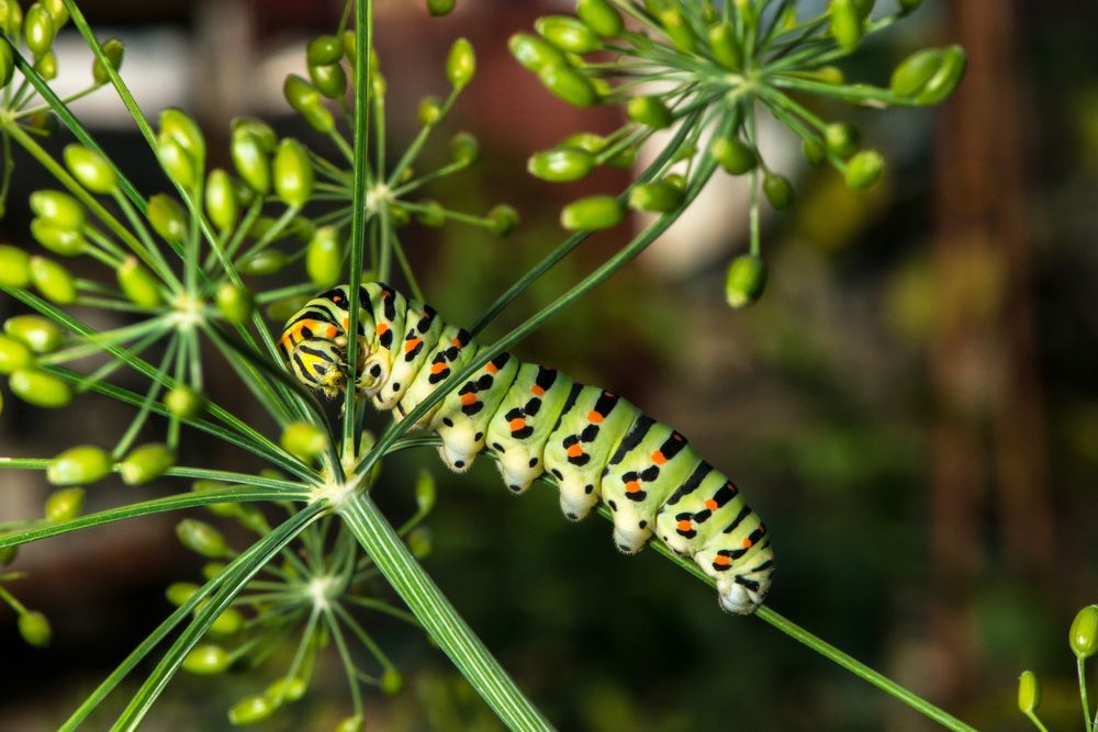 Photograph by Римма Волченко