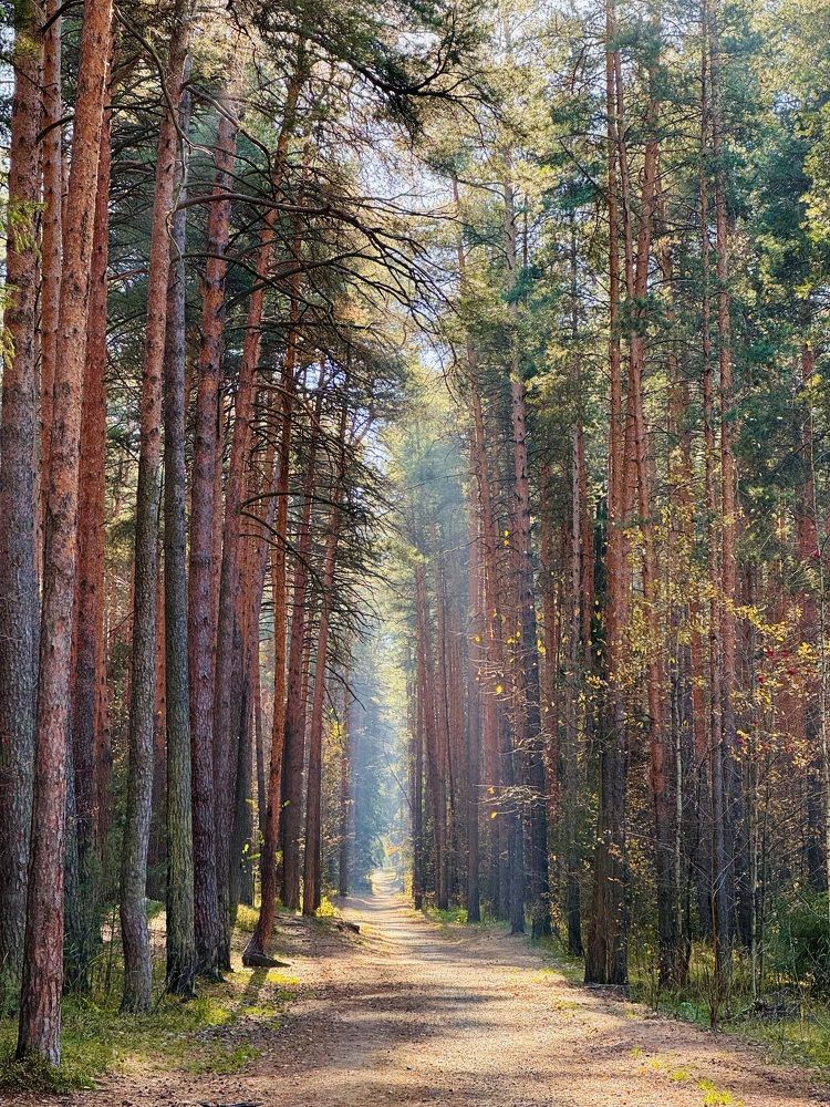 Photograph by Ксения Юртаева