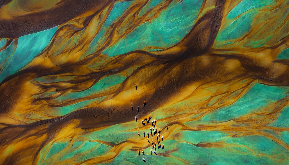 Pastoral Song of the Tidal Flats