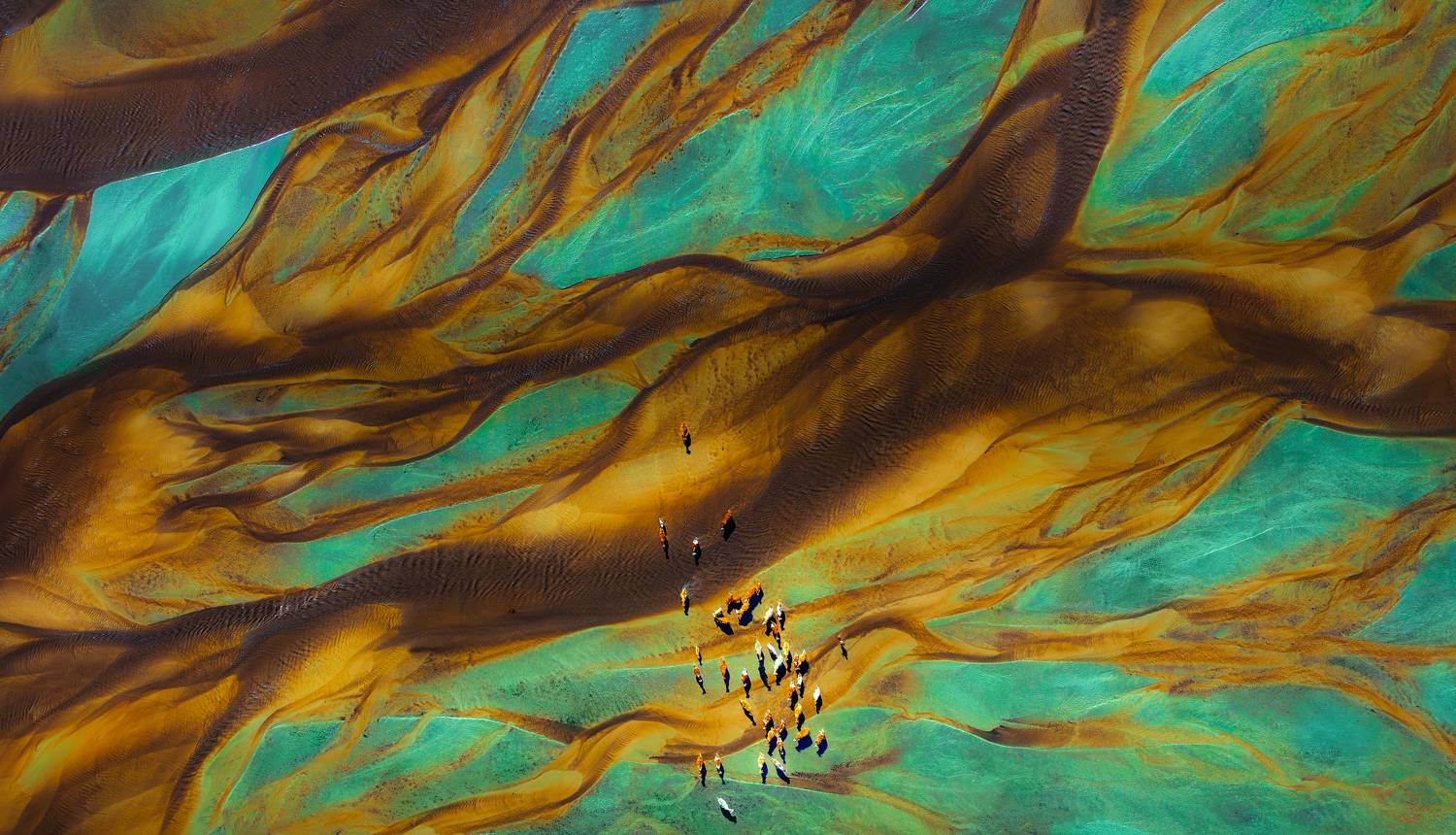 Pastoral Song of the Tidal Flats