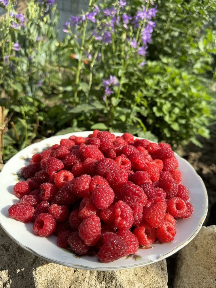 Photograph by Арина Бурда