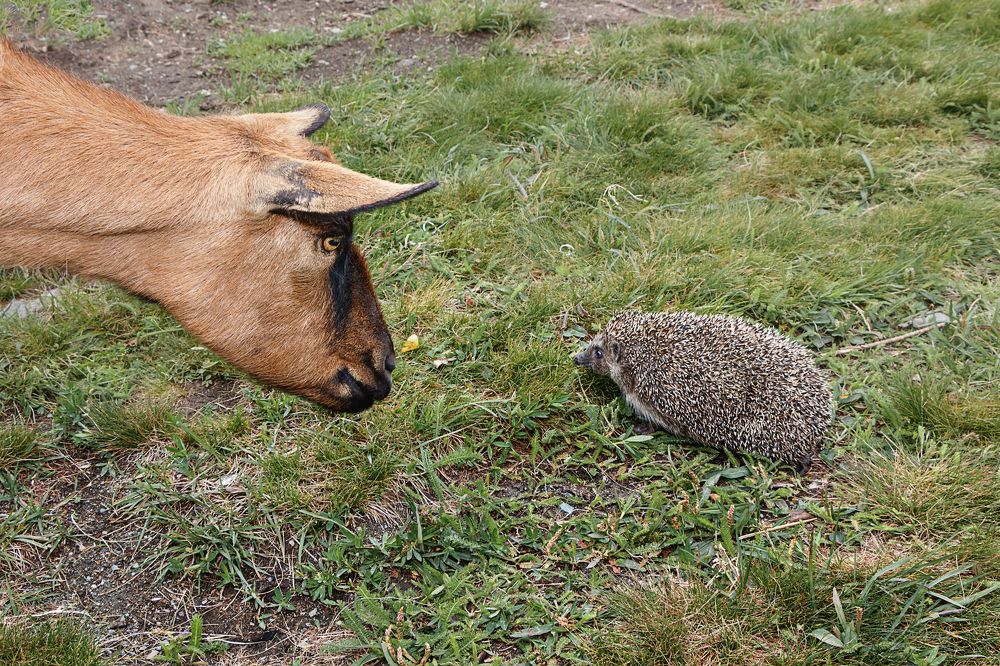 Photograph by виктор ковчин