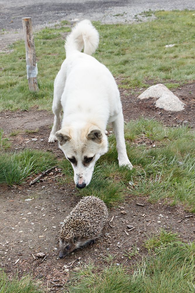 Photograph by виктор ковчин