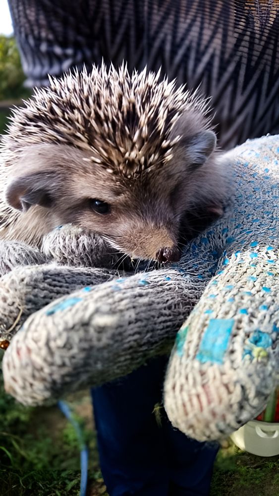 Photograph by Ирина Шибитова