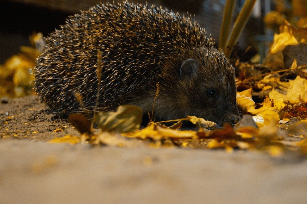 Photograph by Константин Мартынов