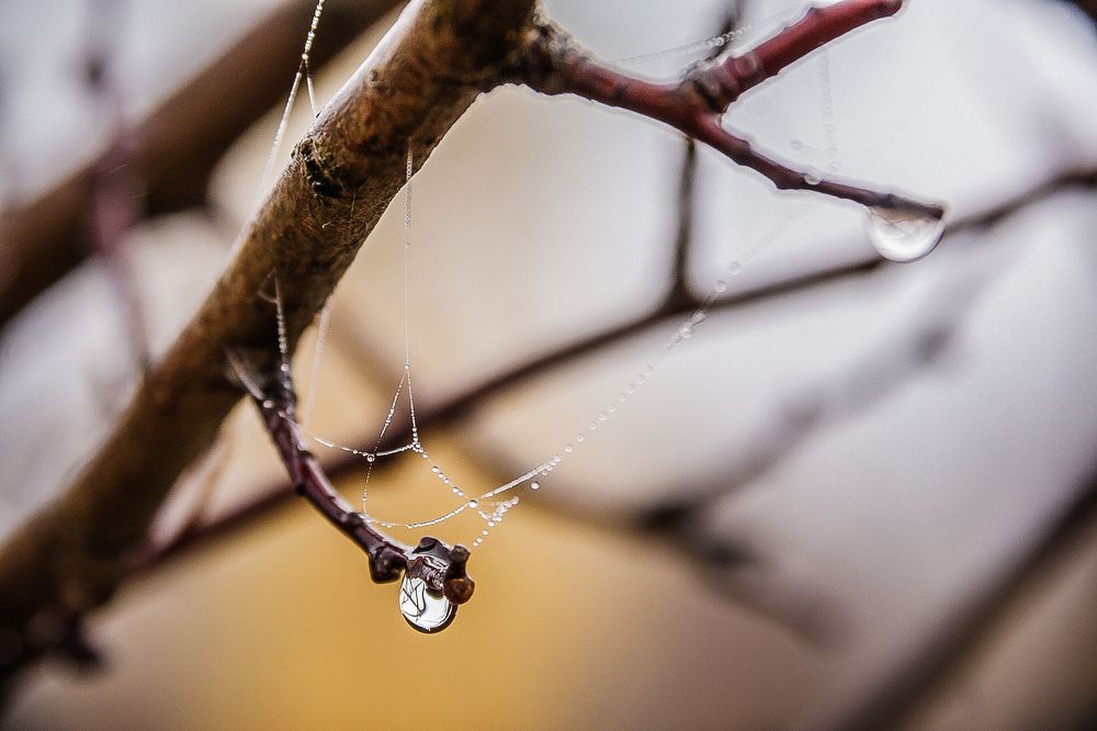 Photograph by Алексей Трифонов