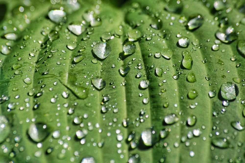 Photograph by Даниил Пузаков