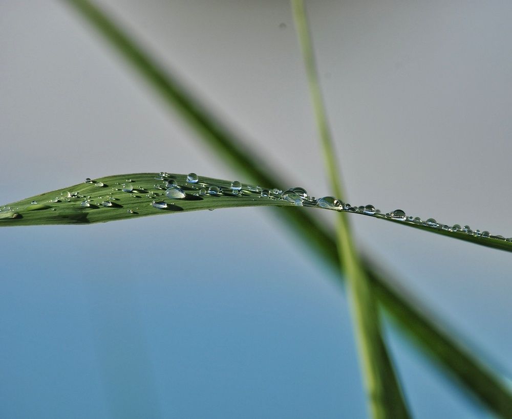 Photograph by Даниил Пузаков