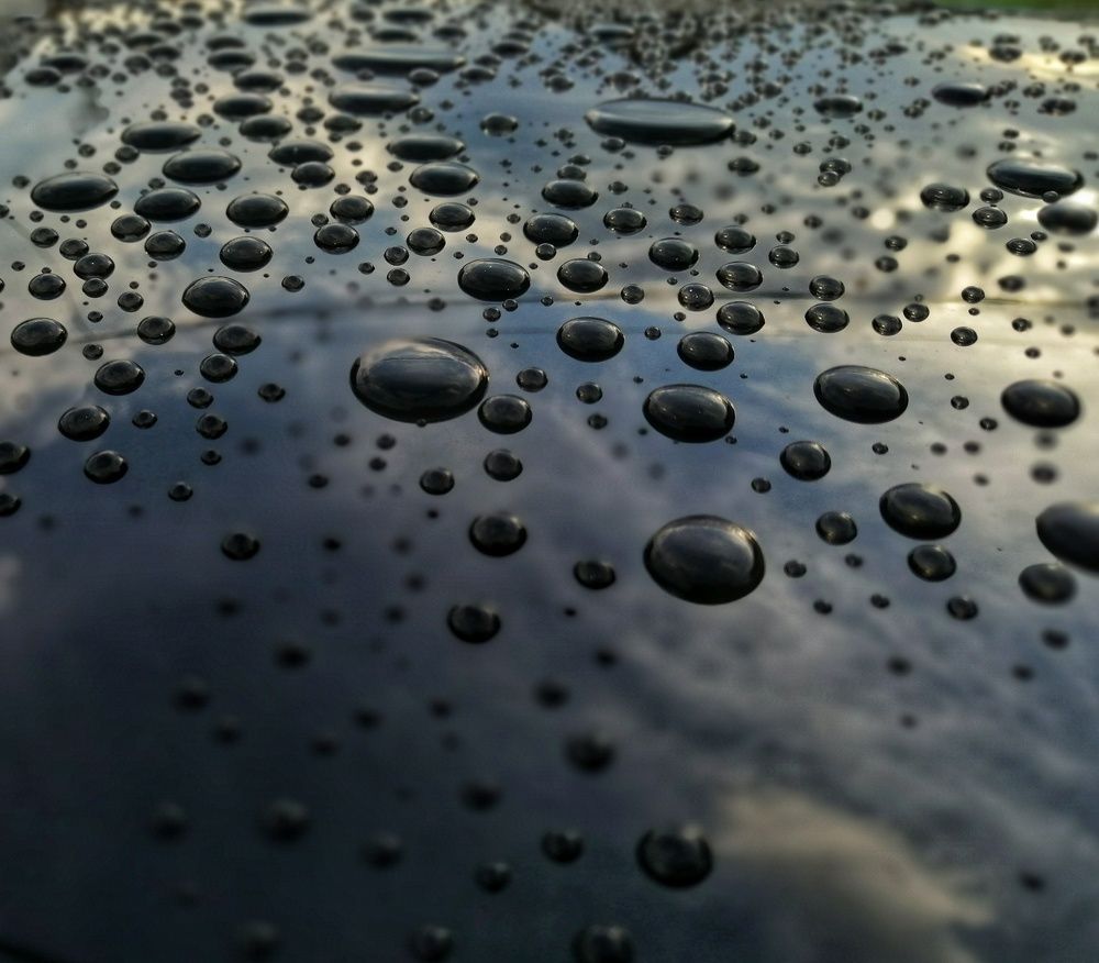 Photograph by Даниил Пузаков