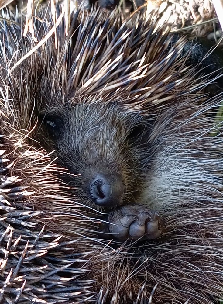 Photograph by Елена Коробченко