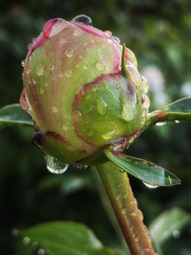 Фотография автора Евгения Никишина