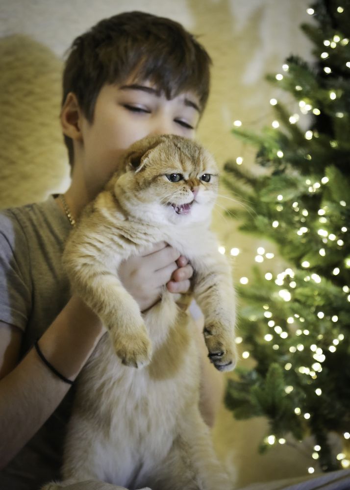 Photograph by Елена Болдырева